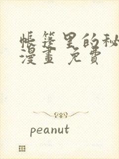 帐篷里的秘密 漫画 免费