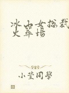 冰山女总裁追夫火葬场