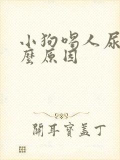 小狗喝人尿是什么原因