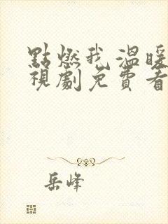 点燃我温暖你电视剧免费看完整版