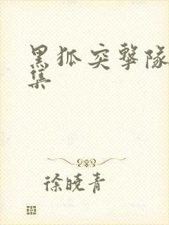 黑狐突击队40集