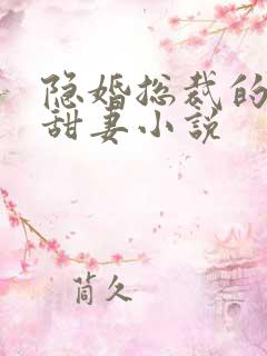 隐婚总裁的绯闻甜妻小说