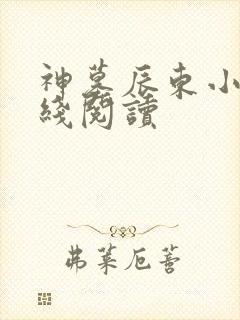 神墓辰东小说在线阅读