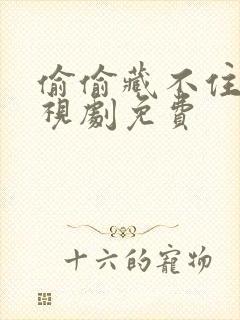 偷偷藏不住的电视剧免费