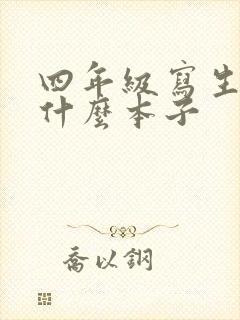 四年级写生字用什么本子