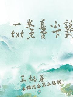 一半真小说全本txt免费下载