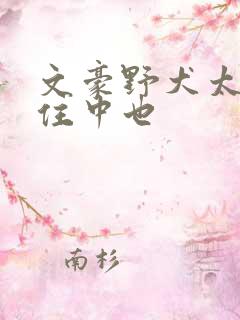 文豪野犬太宰抱住中也