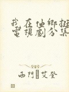 我在他乡挺好的电视剧分集剧情介绍