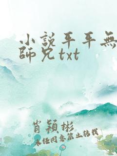 小说平平无奇大师兄txt