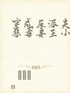 穿成反派夫郎的恶毒妻主小说