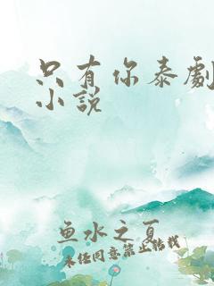 只有你泰剧原著小说