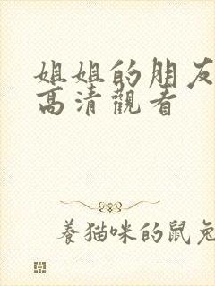 姐姐的朋友在线高清观看