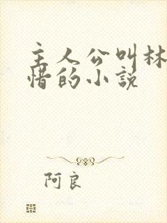 主人公叫林凡叶惜的小说