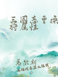 三国志曹操传武将属性