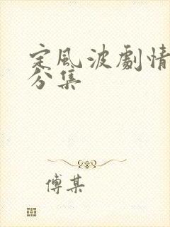 定风波剧情介绍分集