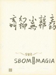 玄幻小说主人公叫柳无邪的小说