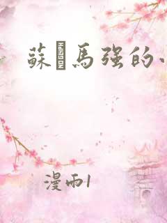 苏諪马强的小说