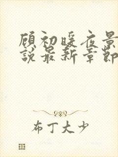 顾初暖夜景寒小说最新章节