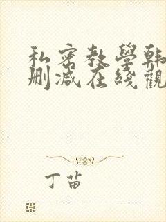 私密教学韩漫无删减在线观看