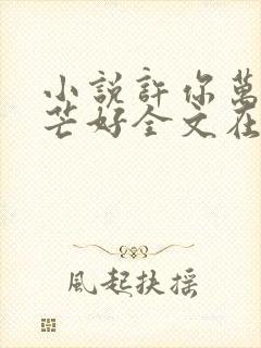 小说许你万丈光芒好全文在线阅读