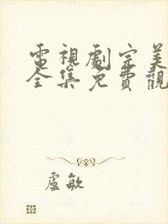 电视剧完美的他全集免费观看