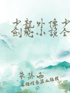 少龙外传少年龙剑飞小说全文