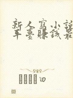 新人写小说哪个平台赚钱最多