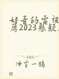 好看的电视剧推荐2023悬疑剧