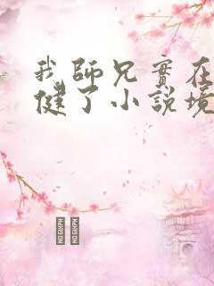 我师兄实在太稳健了小说境界划分