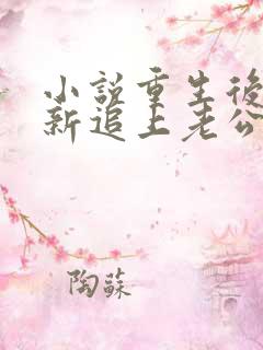 小说重生后我重新追上老公