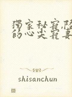 独家秘宠,陆少的心尖宠妻 小说