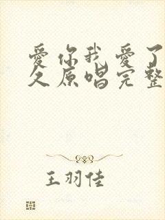 爱你我爱了那么久原唱完整版