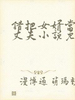 错把女婿当成了丈夫小说免费阅读