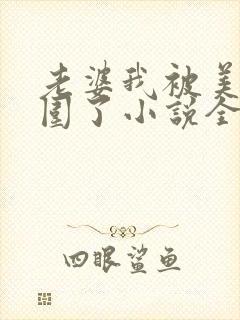 老婆我被美女包围了小说全文阅读