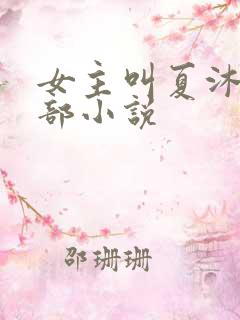 女主叫夏沐的全部小说