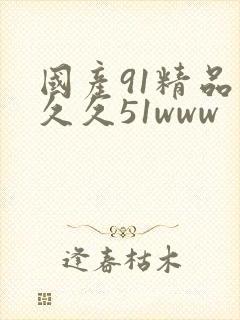 国产91精品久久久51www