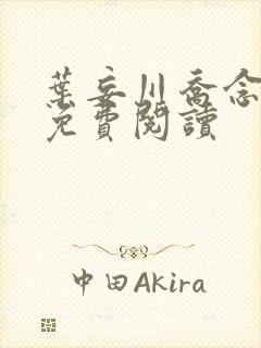 叶妄川乔念小说免费阅读