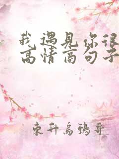 我遇见你很晚,高情商句子