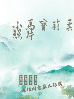 小马宝莉柔柔的照片