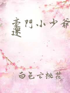 豪门小少爷是财迷