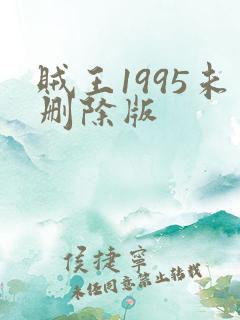 贼王1995未删除版