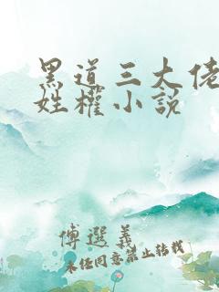 黑道三大佬的小姓权小说