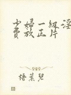 少妇一级淫片免费放正片