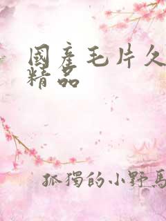 国产毛片久久久精品