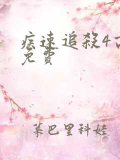 疾速追杀4高清免费