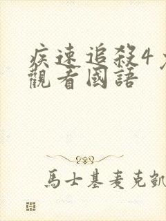 疾速追杀4免费观看国语