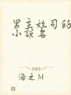 男主姓司的全部小说名
