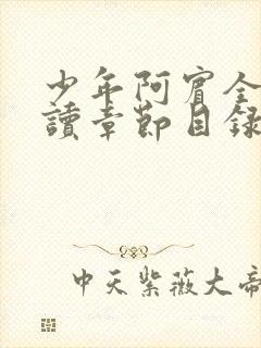 少年阿宾全文阅读章节目录