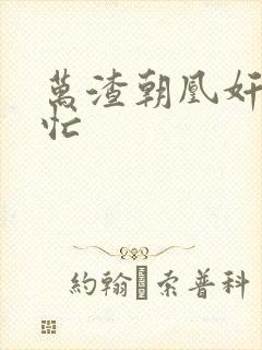 万渣朝凰奸妃很忙