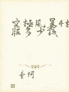 究极风暴4标准版多少钱